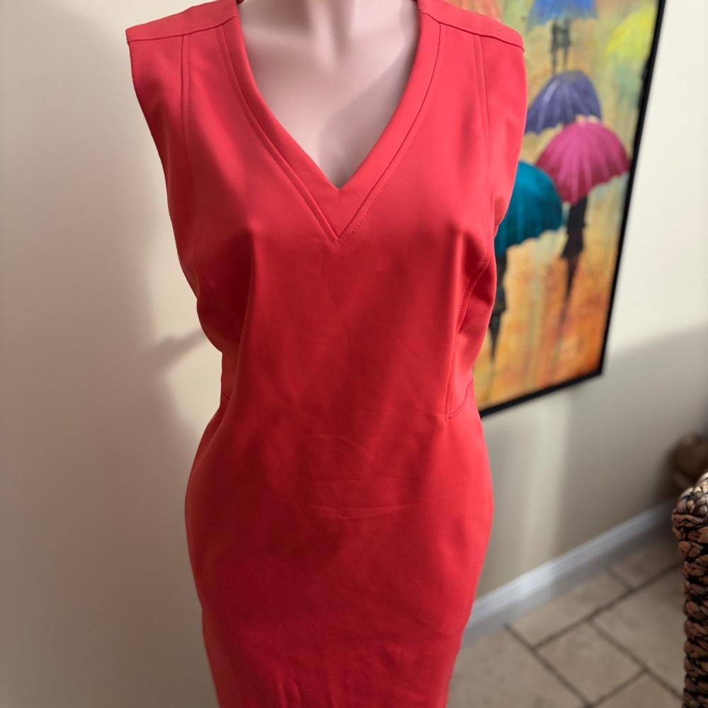 Never Worn Etcetera by Carlisle size 16 Red/Orange Dress